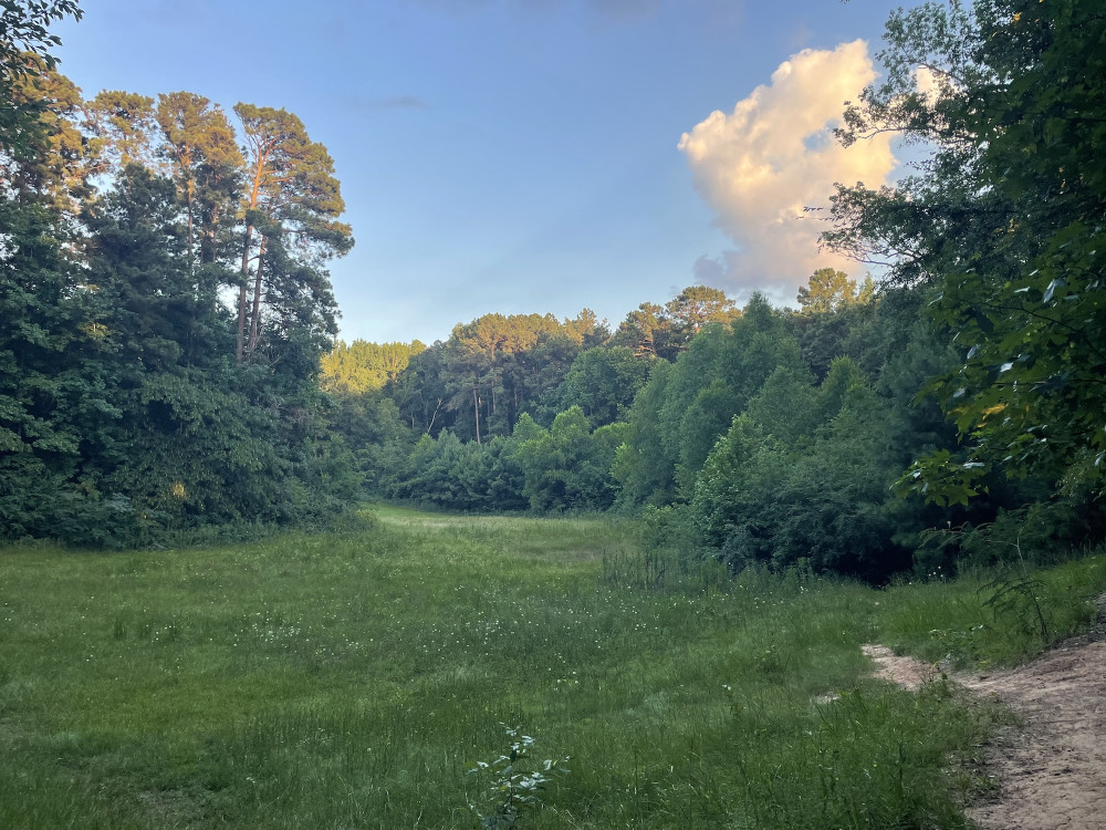 The hidden valley on Cargill Trail