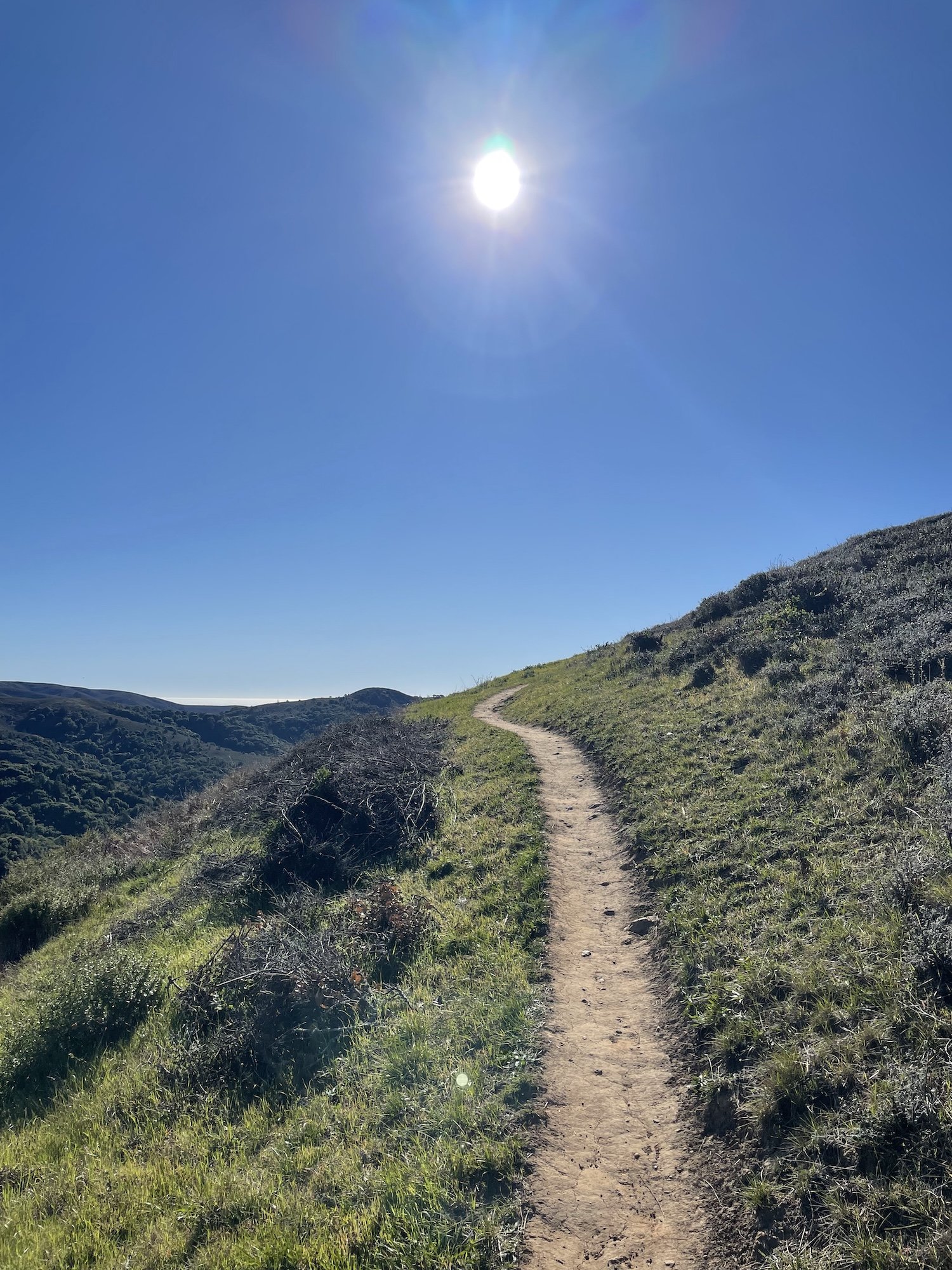 The imposter trailhead