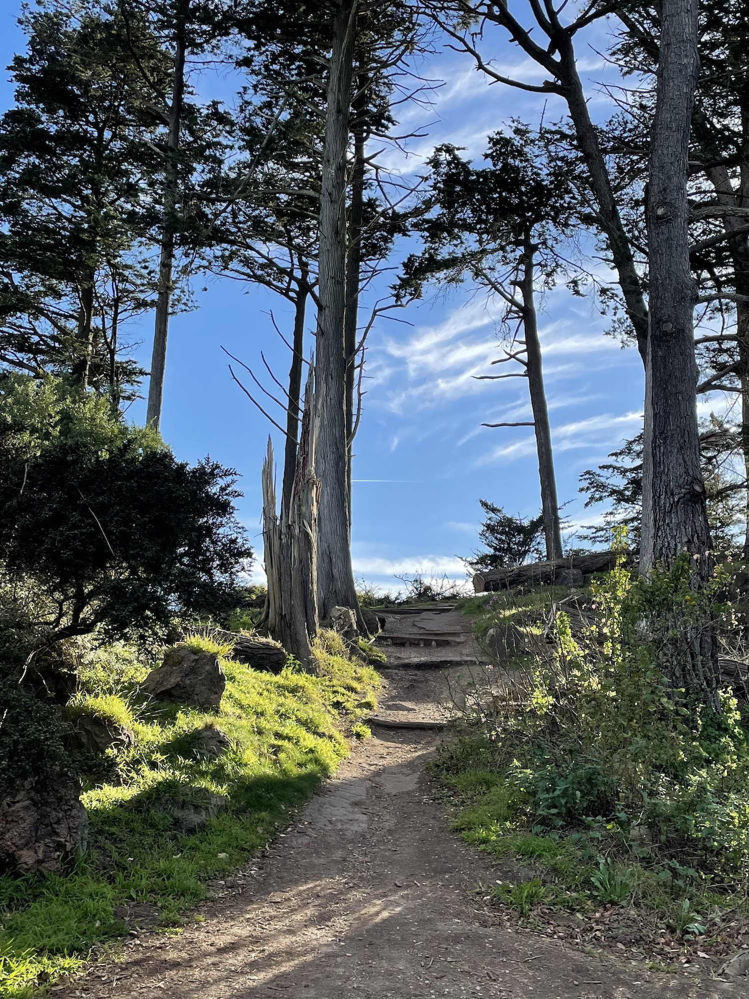A view from Strawberry Hill in Golden Gate Park. My phone was on 19%.