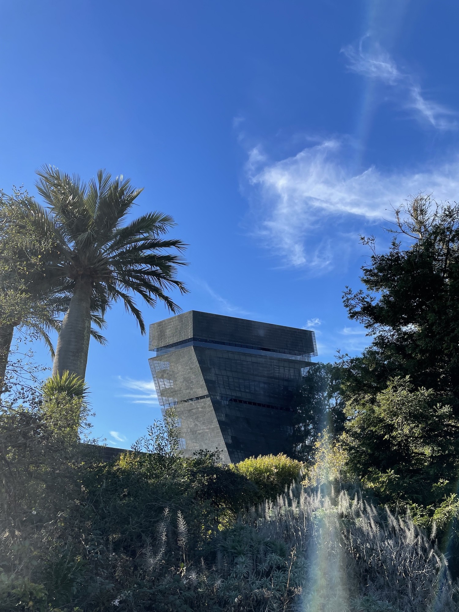 A view of the de Young from the park